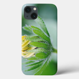 Openende Bloem Van Cone Flower iPhone 13 Hoesje