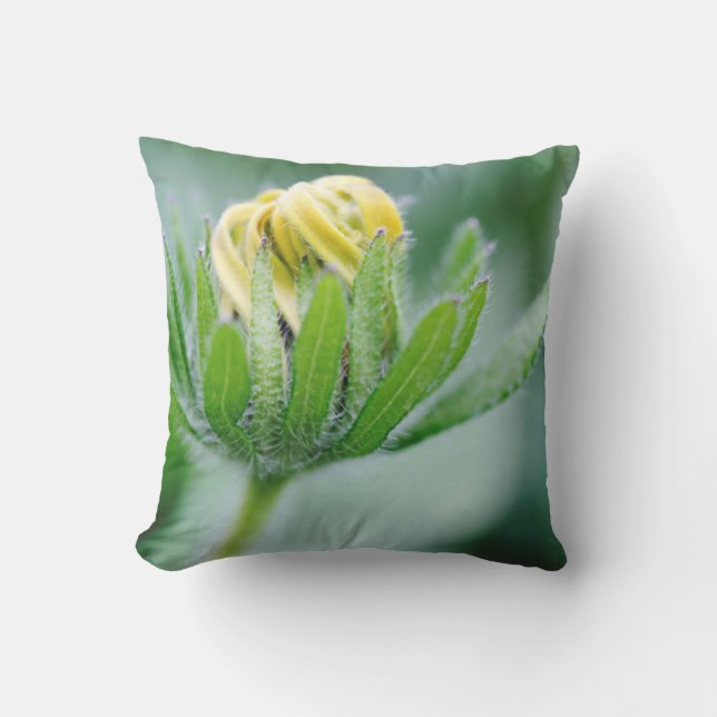 Openende Bloem Van Cone Flower Kussen (Voorkant)