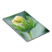 Openende Bloem Van Cone Flower Notitieboek (Rechterzijde)