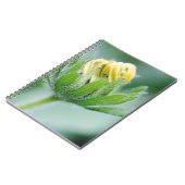 Openende Bloem Van Cone Flower Notitieboek (Linkerzijde)