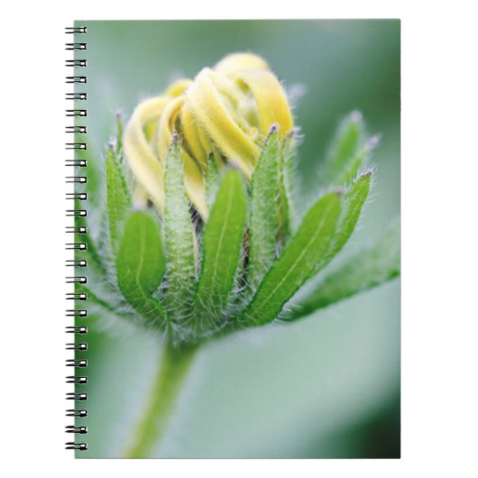 Openende Bloem Van Cone Flower Notitieboek (Voorkant)