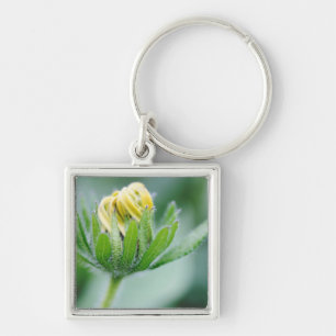 Openende Bloem Van Cone Flower Sleutelhanger