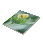 Openende Bloem Van Cone Flower Tegeltje (Zijkant)