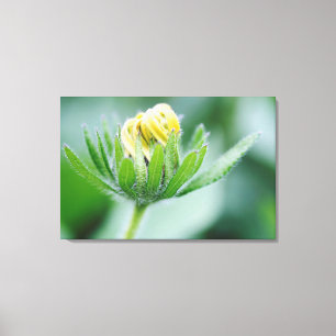 Openende Bloem Van de Kegel Bloem Canvas Afdruk