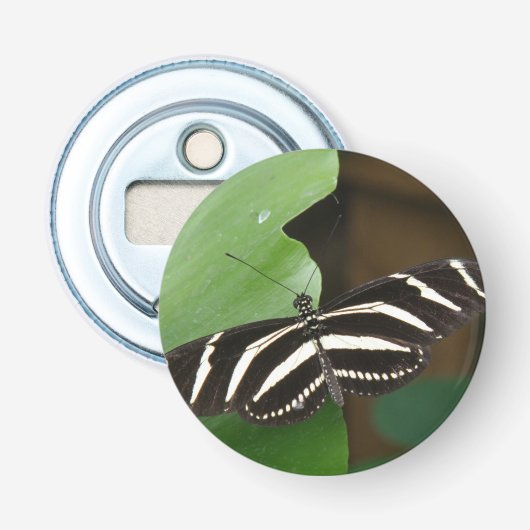  opener voor Zebra-langwerpvlinderflesopenen (Voorkant)