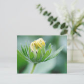 Opening Flower Of Cone Flower Briefkaart (Staand voorkant)