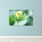 Opening Flower Of Cone Flower Canvas Afdruk (Insitu (Houten vloer))