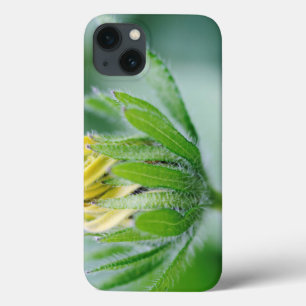 Opening Flower Of Cone Flower Case-Mate iPhone Case