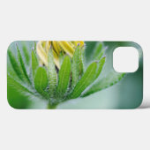 Opening Flower Of Cone Flower Case-Mate iPhone Case (Achterkant (horizontaal))