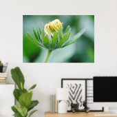 Opening Flower Of Cone Flower Poster (Thuiskantoor)