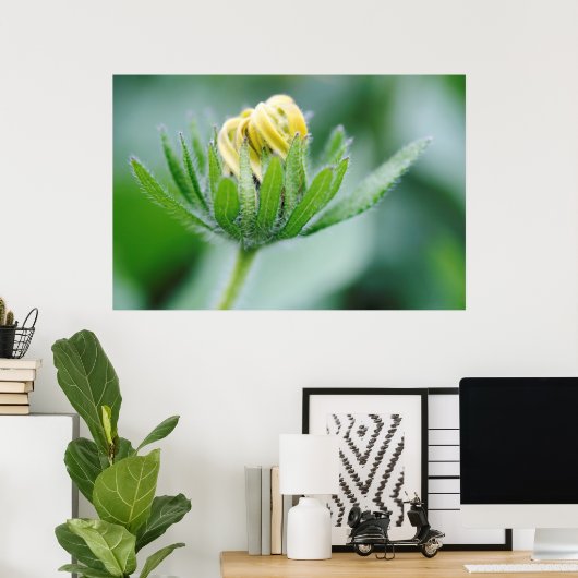 Opening Flower Of Cone Flower Poster (Thuiskantoor)