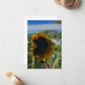 Opening zonnebloem notitiekaartje (Voorkant / Achterkant in situ)
