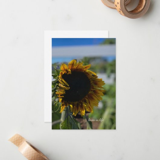 Opening zonnebloem notitiekaartje (Voorkant / Achterkant in situ)