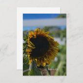 Opening zonnebloem notitiekaartje (Voorkant / Achterkant)