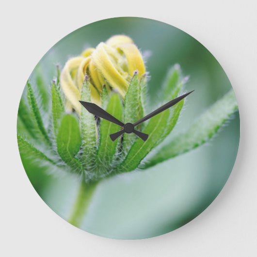 Openingsventilator van de kloonventilator grote klok (Voorkant)