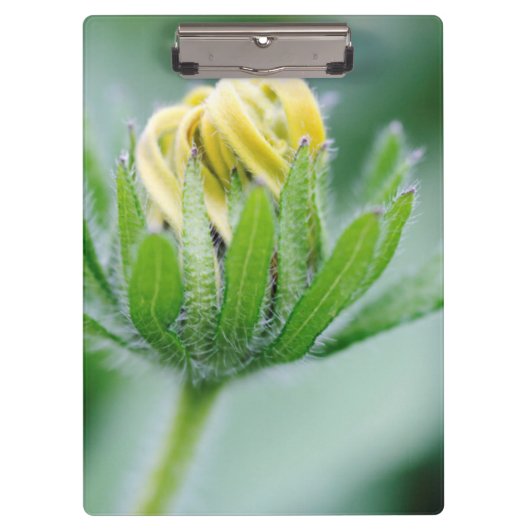 Openingsventilator van de kloonventilator klembord (Voorkant)