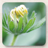 Openingsventilator van de kloonventilator onderzetter (Voorkant)