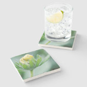 Openingsventilator van de kloonventilator stenen onderzetter (Zijkant)