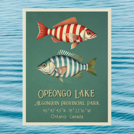 Opeongo Lake Ontario Canada viskaart Briefkaart