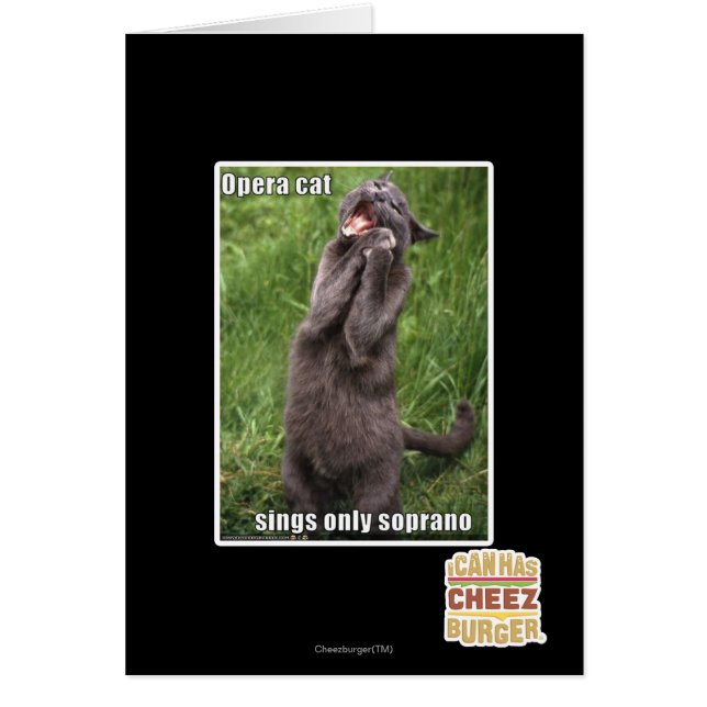 Opera Cat (Voorkant)