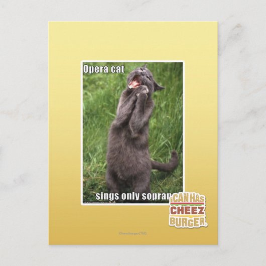 Opera Cat Briefkaart (Voorkant)