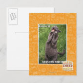 Opera Cat Briefkaart (Voorkant / Achterkant)