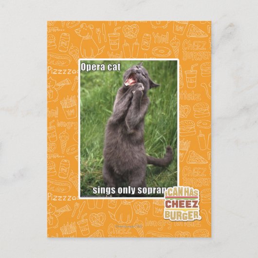 Opera Cat Briefkaart (Voorkant)