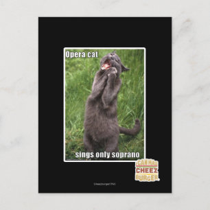Opera Cat Briefkaart