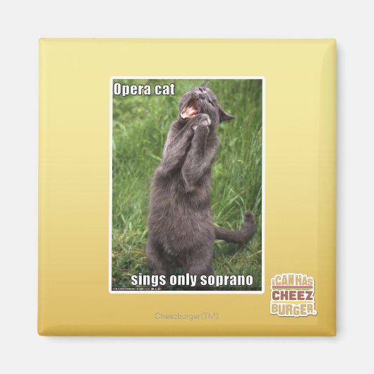 Opera Cat Magneet (Voorkant)