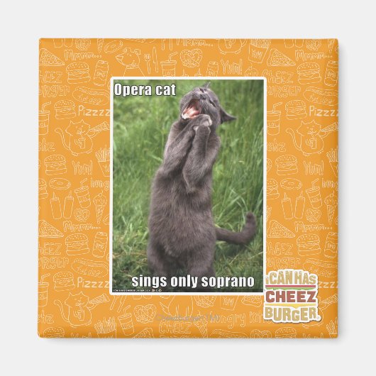 Opera Cat Magneet (Voorkant)