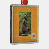 Opera Cat Metalen Ornament (Rechts)
