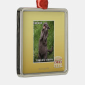 Opera Cat Metalen Ornament (Rechts)