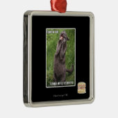 Opera Cat Metalen Ornament (Rechts)