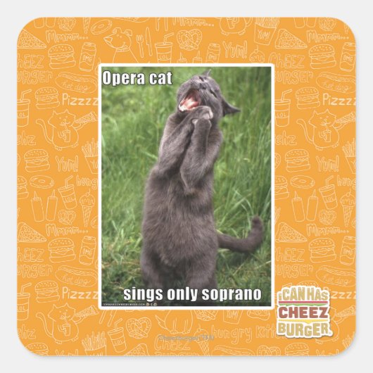Opera Cat Vierkante Sticker (Voorkant)