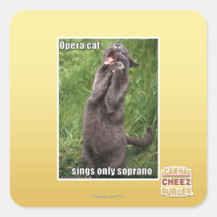 Opera Cat Vierkante Sticker