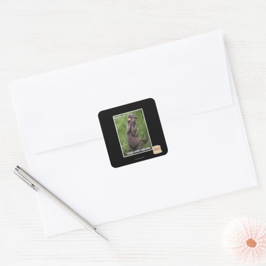 Opera Cat Vierkante Sticker (Envelop)