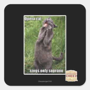 Opera Cat Vierkante Sticker