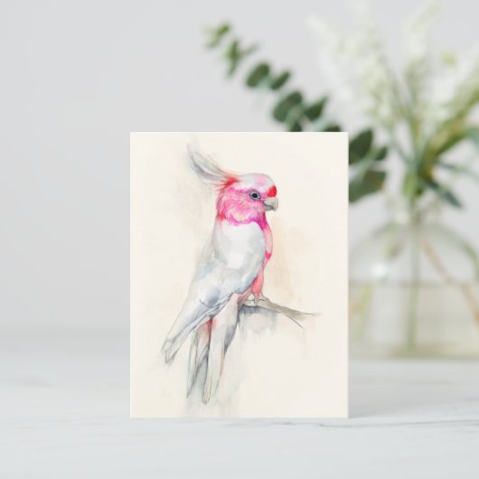 Opera Cockato Briefkaart (Staand voorkant)