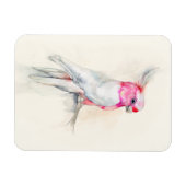 Opera Cockato Magneet (Horizontaal)