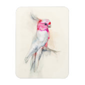 Opera Cockato Magneet (Verticaal)