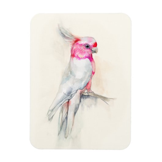 Opera Cockato Magneet (Verticaal)