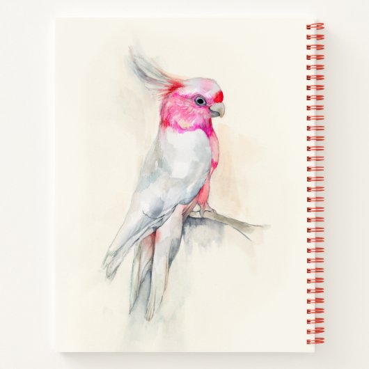 Opera Cockato Notitieboek (Achterkant)