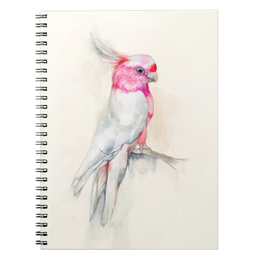 Opera Cockato Notitieboek (Voorkant)