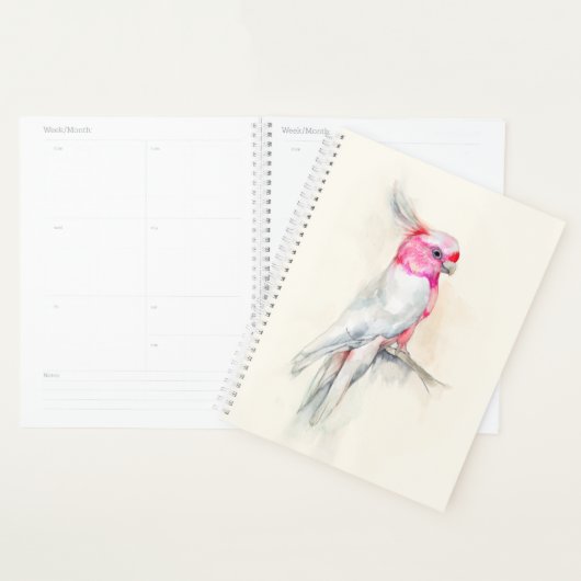Opera Cockato Planner (Display)