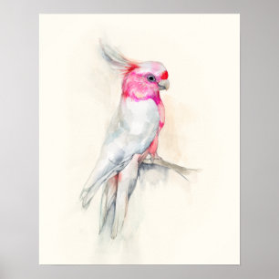 Opera Cockato Poster