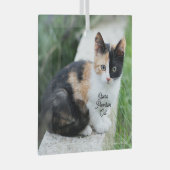 Opera Fantomenkat Glas Ornament (Voorkant Rechts)