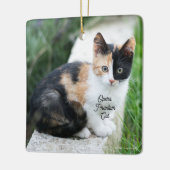 Opera Fantomenkat Keramisch Ornament (Links)