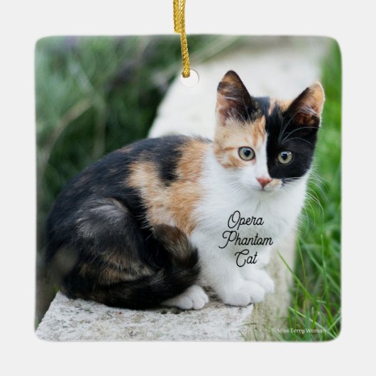 Opera Fantomenkat Keramisch Ornament (Voorkant)