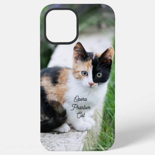 Opera Fantomkat iPhone Hoesje (Achterkant)