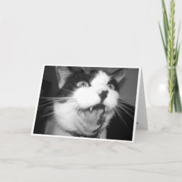 Opera Kat verjaardagskaart Kaart